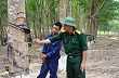 Tây Nguyên: Lao đao khi cao su rớt giá 